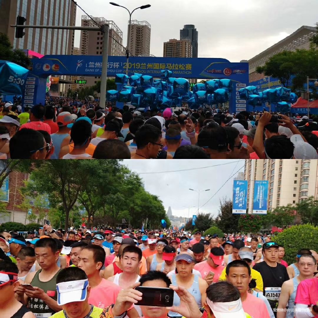 三顾兰马——只为一清二白三红四绿