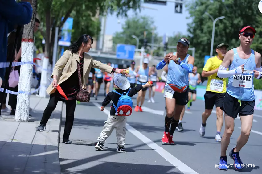 三顾兰马——只为一清二白三红四绿