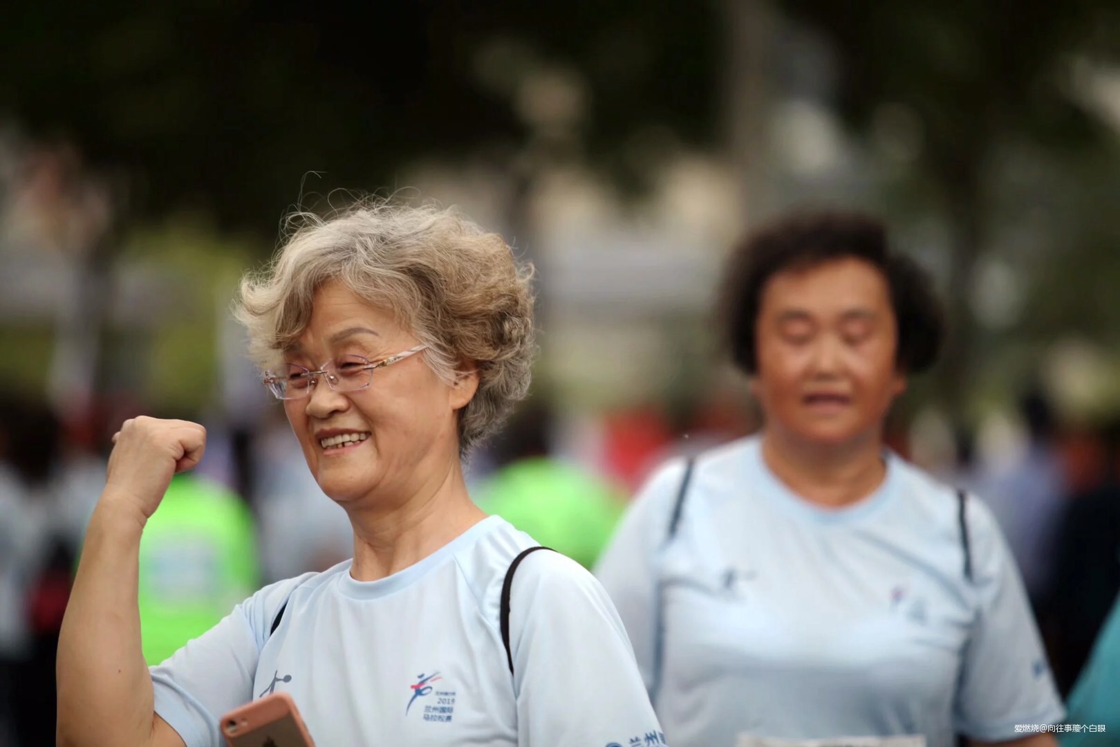 三顾兰马——只为一清二白三红四绿