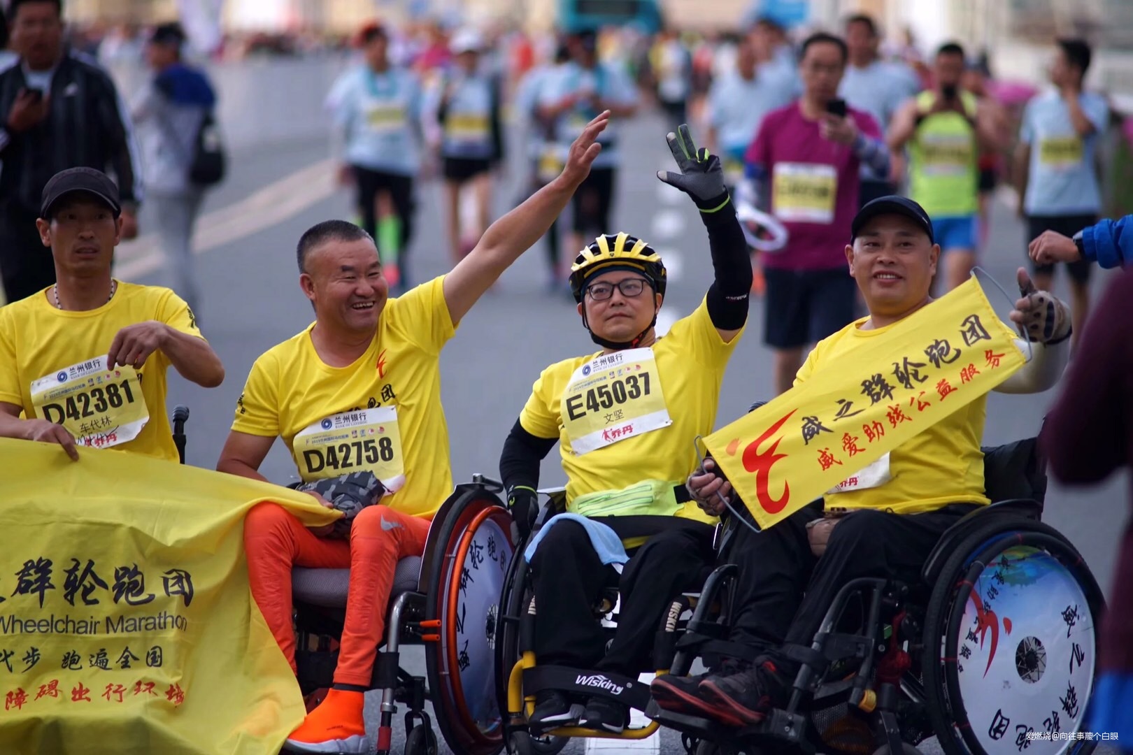 三顾兰马——只为一清二白三红四绿