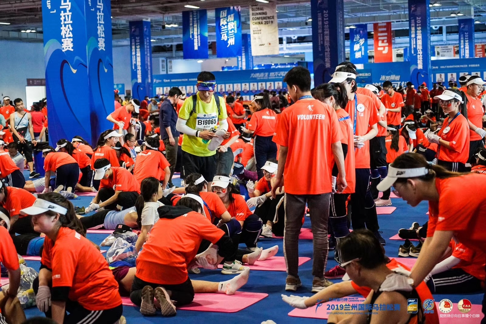 三顾兰马——只为一清二白三红四绿