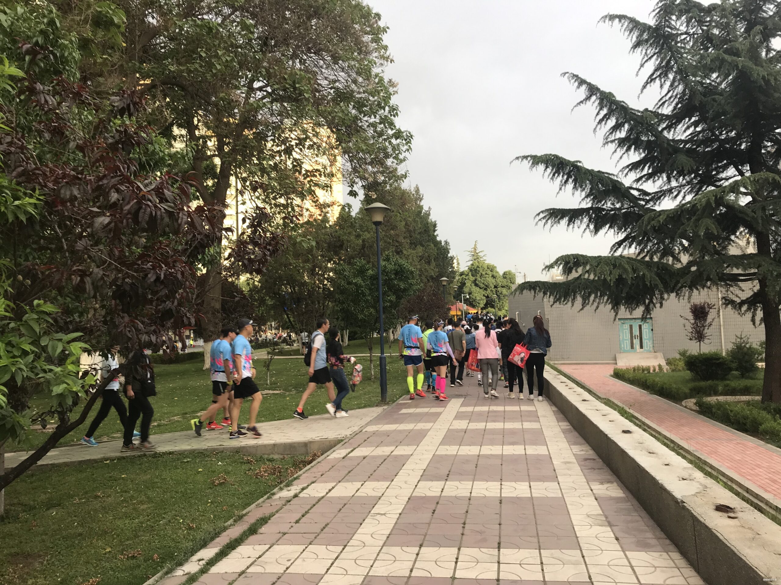 金城兰马 精致体验