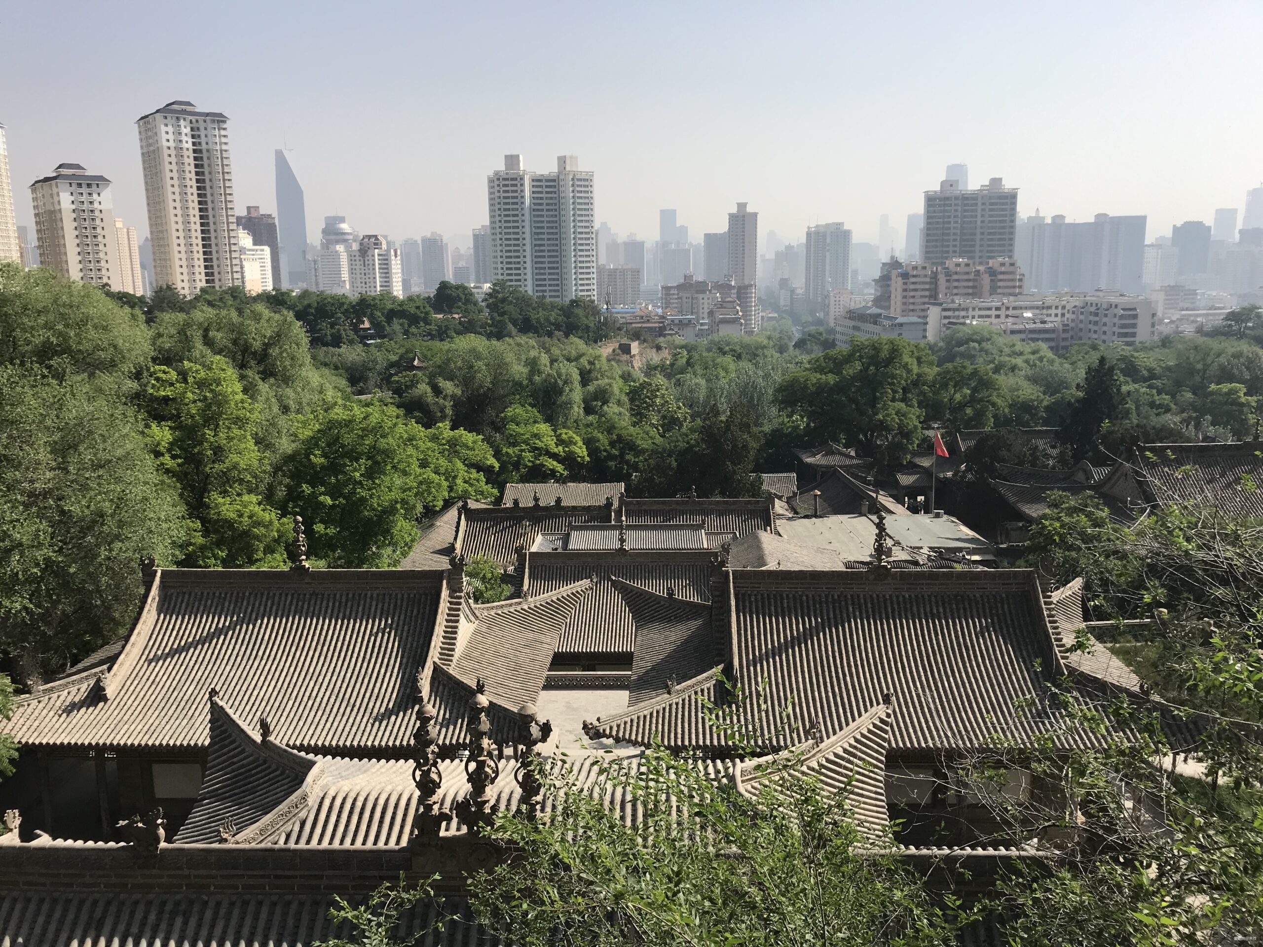 金城兰马 精致体验