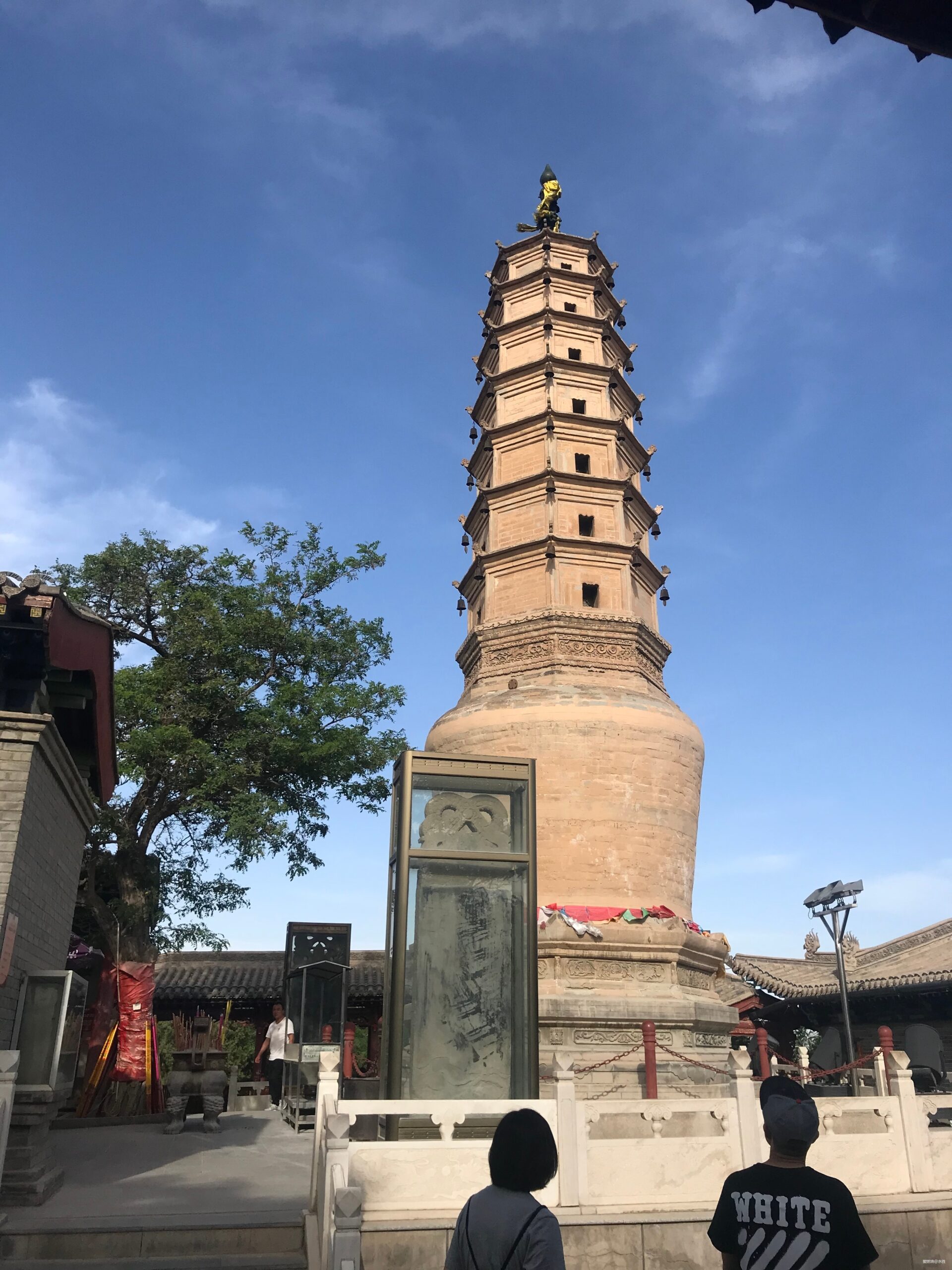 金城兰马 精致体验