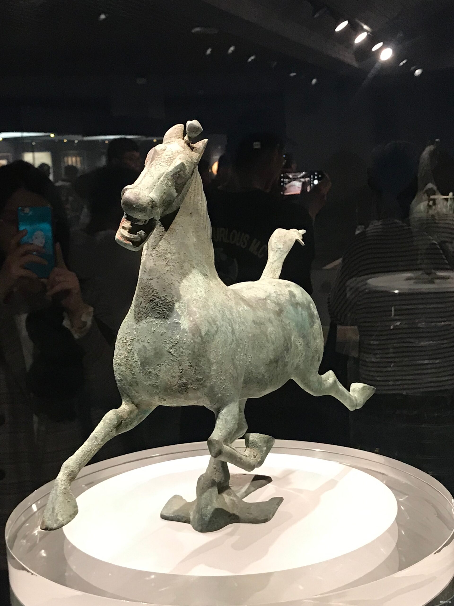 金城兰马 精致体验