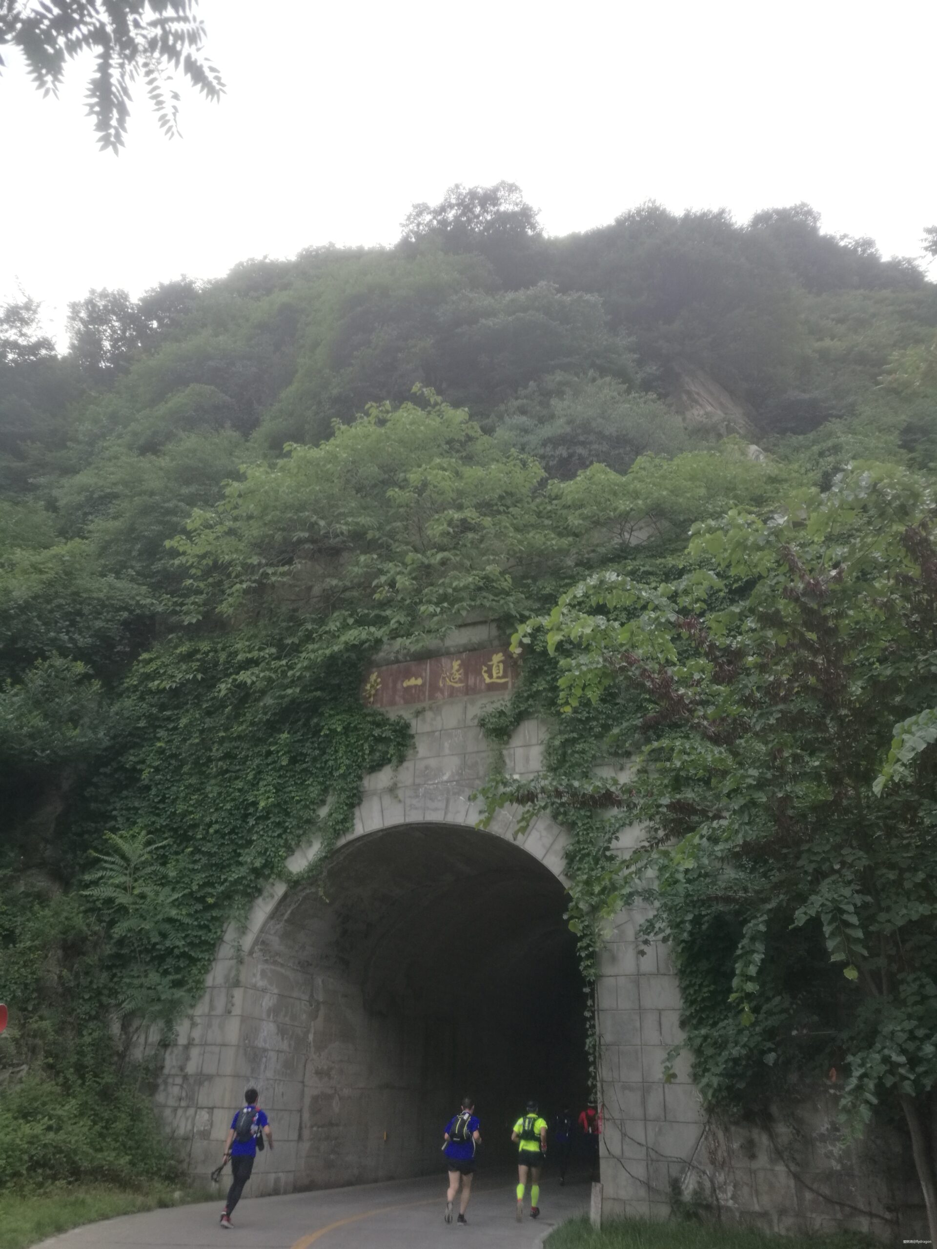 你负责垂青，我只管奔跑。---2019TNF秦岭越野赛