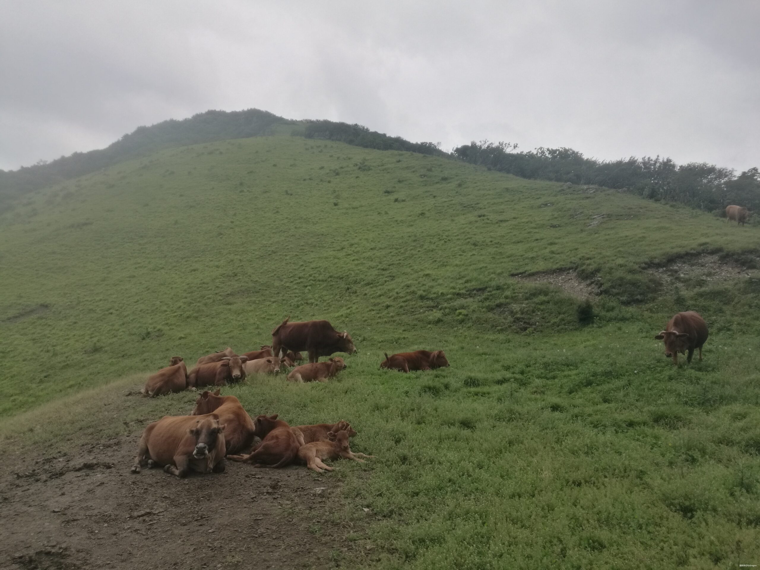 你负责垂青，我只管奔跑。---2019TNF秦岭越野赛
