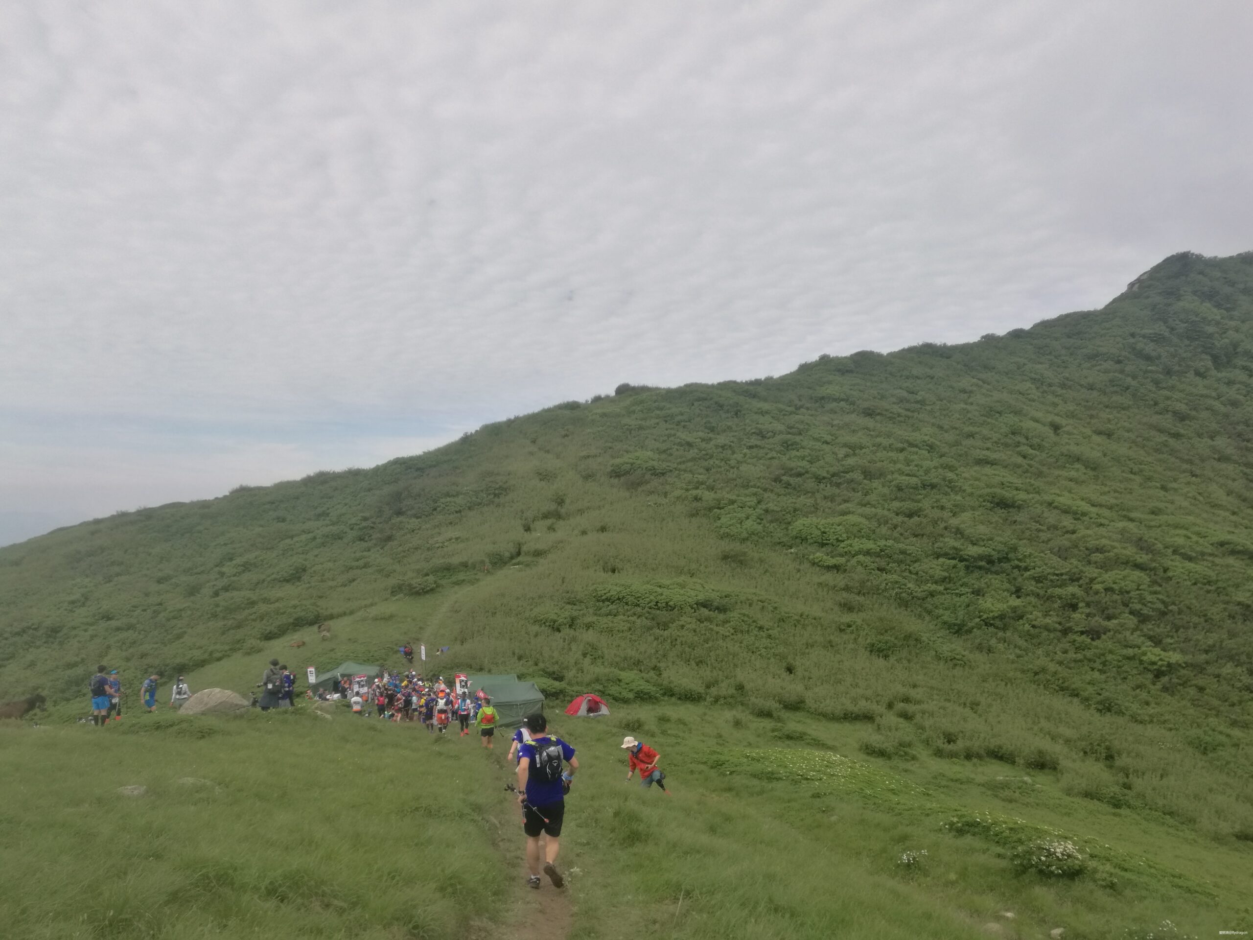 你负责垂青，我只管奔跑。---2019TNF秦岭越野赛