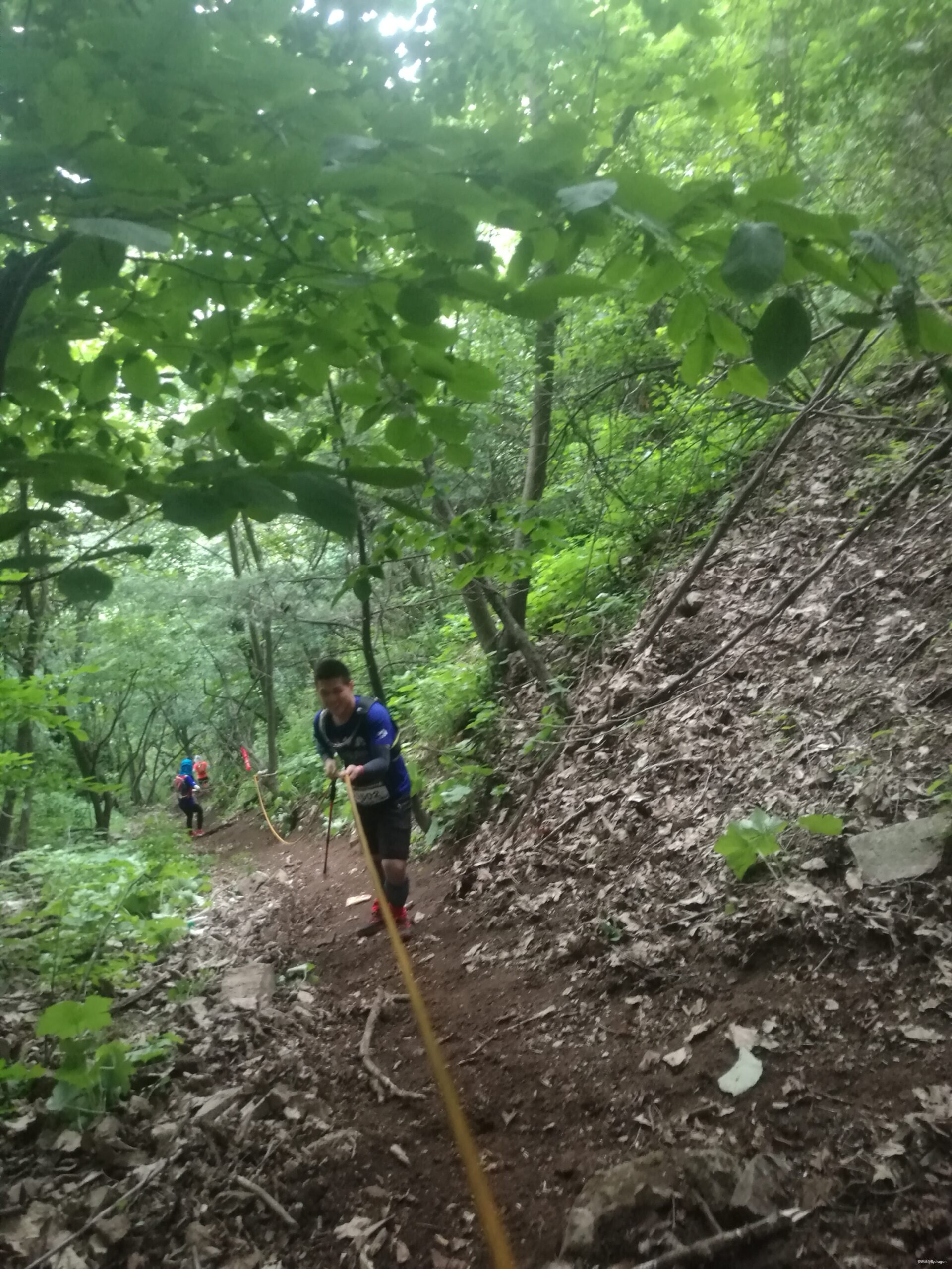 你负责垂青，我只管奔跑。---2019TNF秦岭越野赛