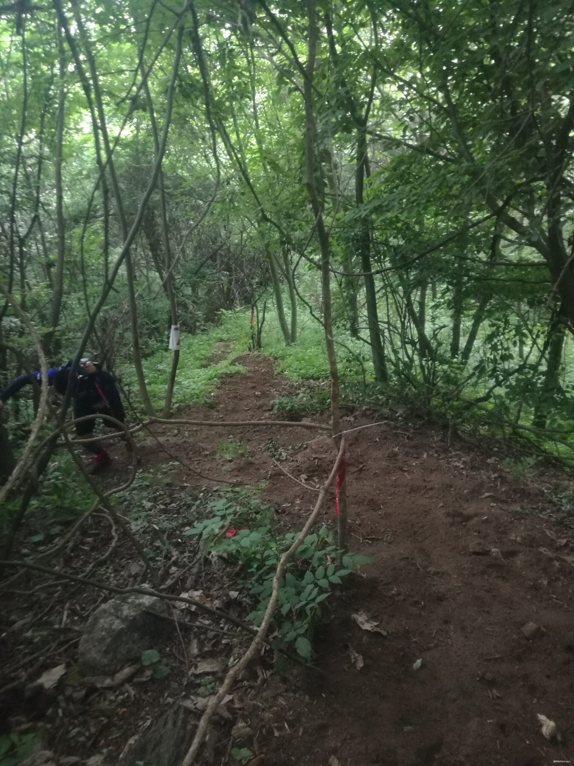 你负责垂青，我只管奔跑。---2019TNF秦岭越野赛