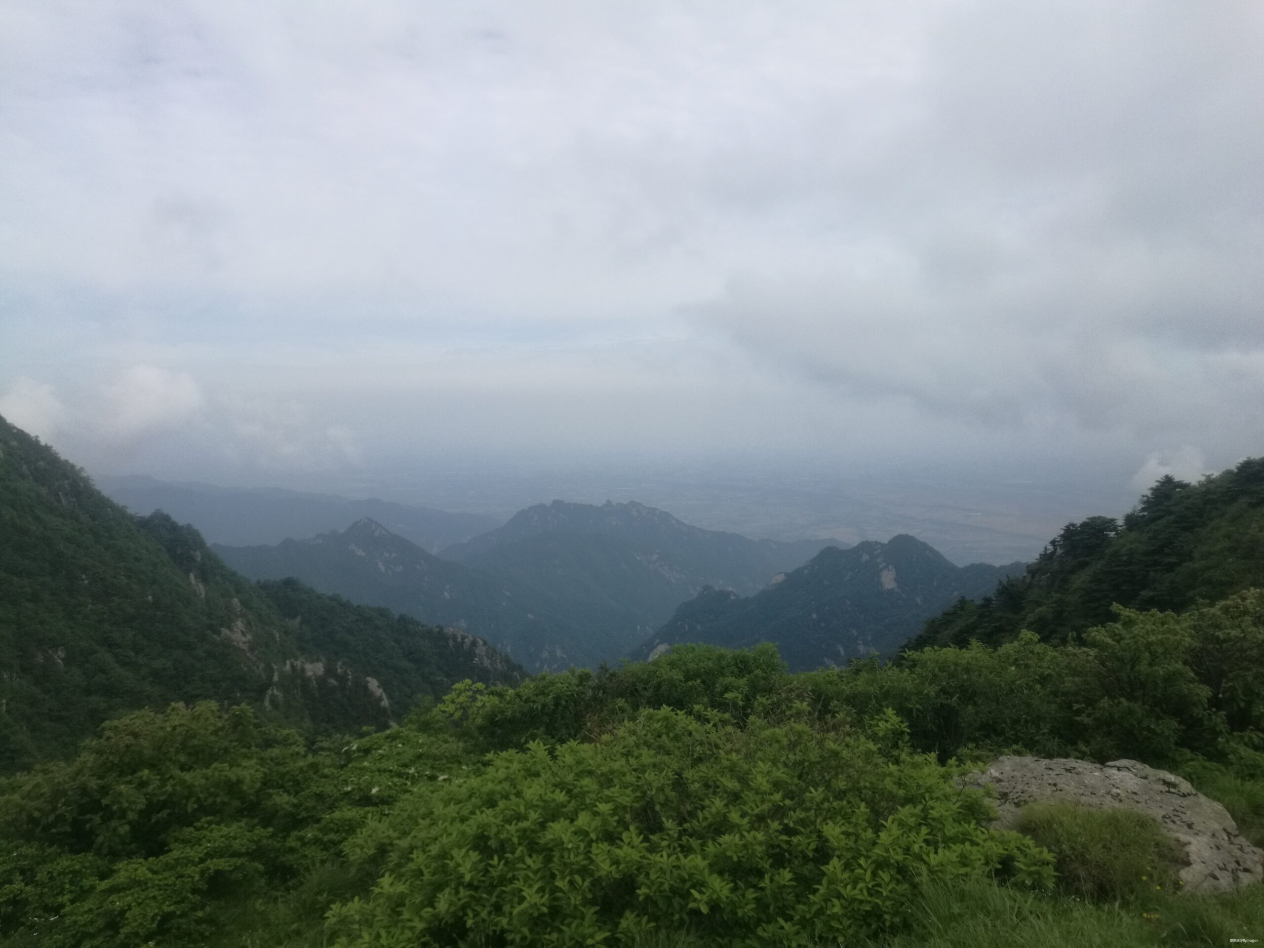 你负责垂青，我只管奔跑。---2019TNF秦岭越野赛