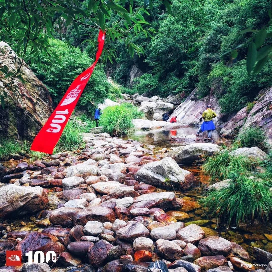 你负责垂青，我只管奔跑。---2019TNF秦岭越野赛