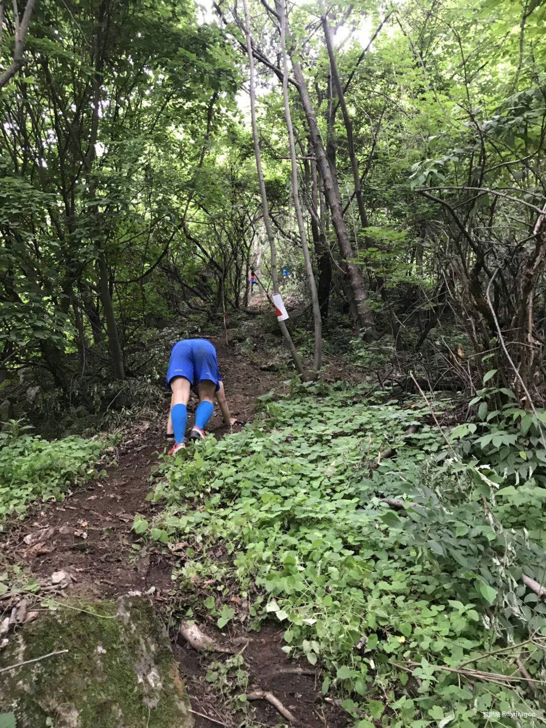 你负责垂青，我只管奔跑。---2019TNF秦岭越野赛