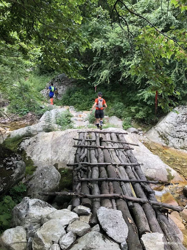 你负责垂青，我只管奔跑。---2019TNF秦岭越野赛