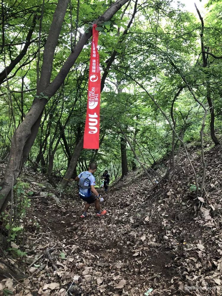你负责垂青，我只管奔跑。---2019TNF秦岭越野赛