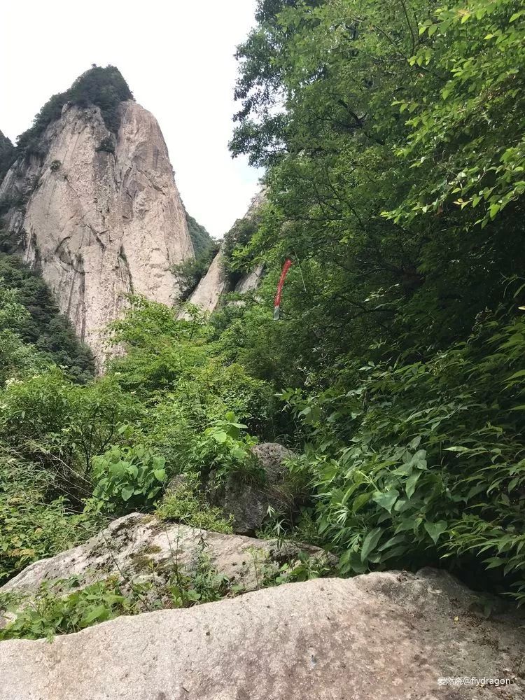 你负责垂青，我只管奔跑。---2019TNF秦岭越野赛