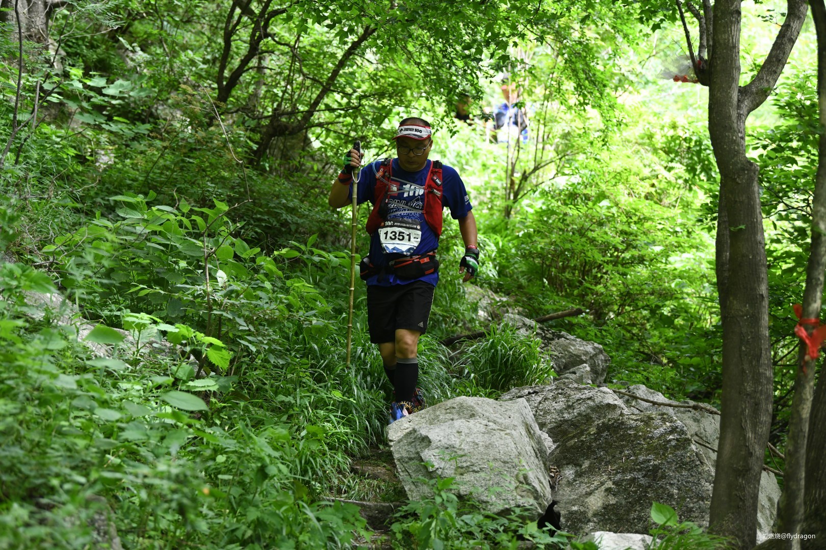 你负责垂青，我只管奔跑。---2019TNF秦岭越野赛