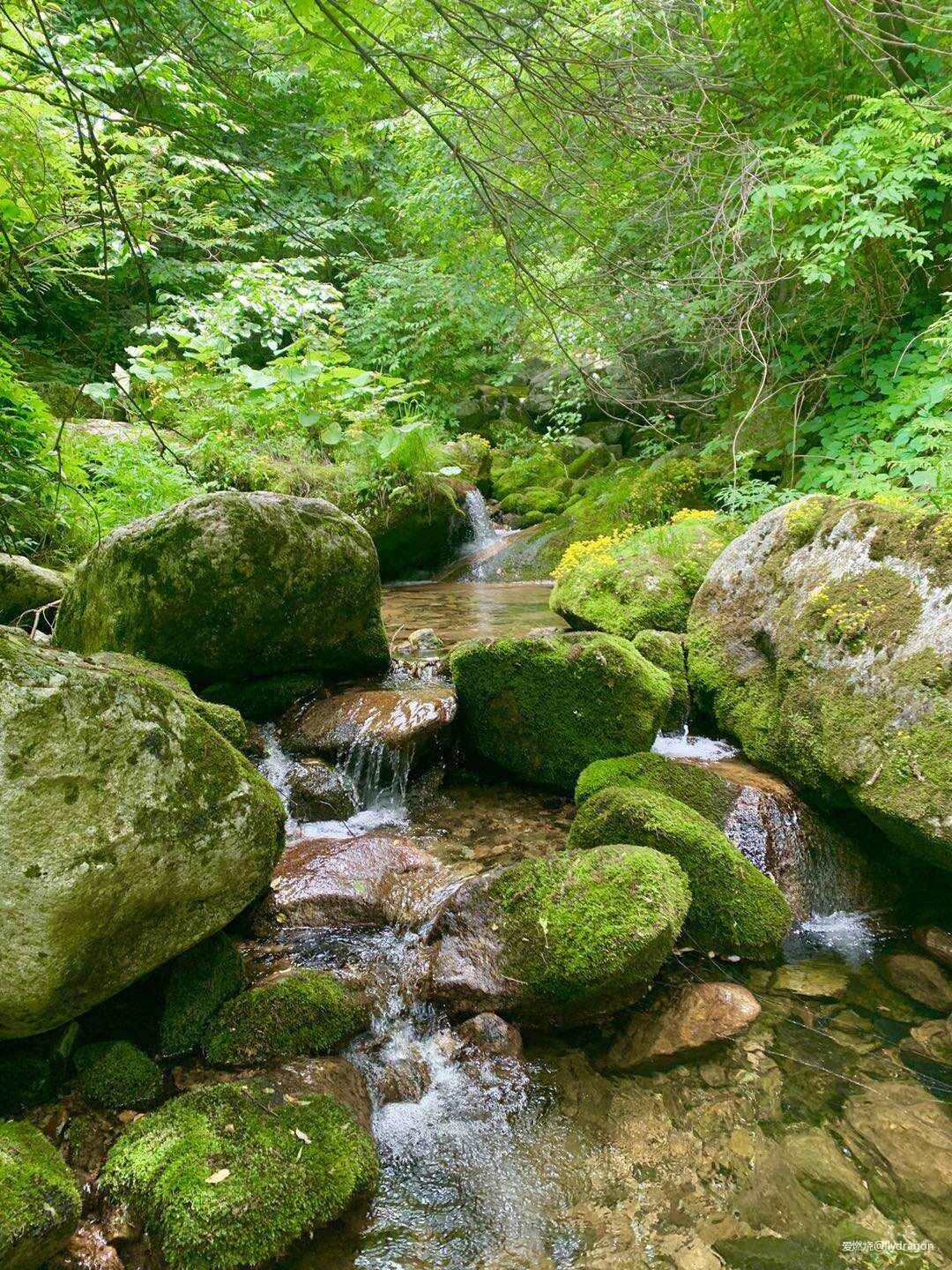 你负责垂青，我只管奔跑。---2019TNF秦岭越野赛