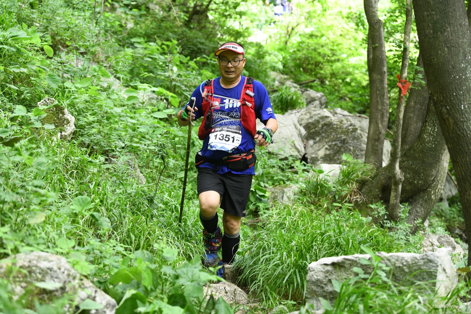 你负责垂青，我只管奔跑。---2019TNF秦岭越野赛