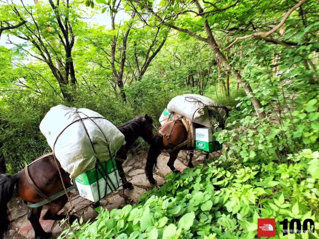 你负责垂青，我只管奔跑。---2019TNF秦岭越野赛