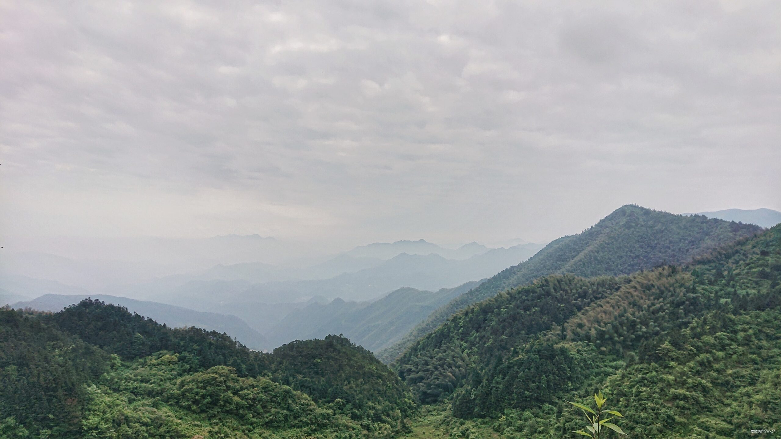 翻山越岭的郊游流水帐——2019 莲都100越野赛-36K 赛记