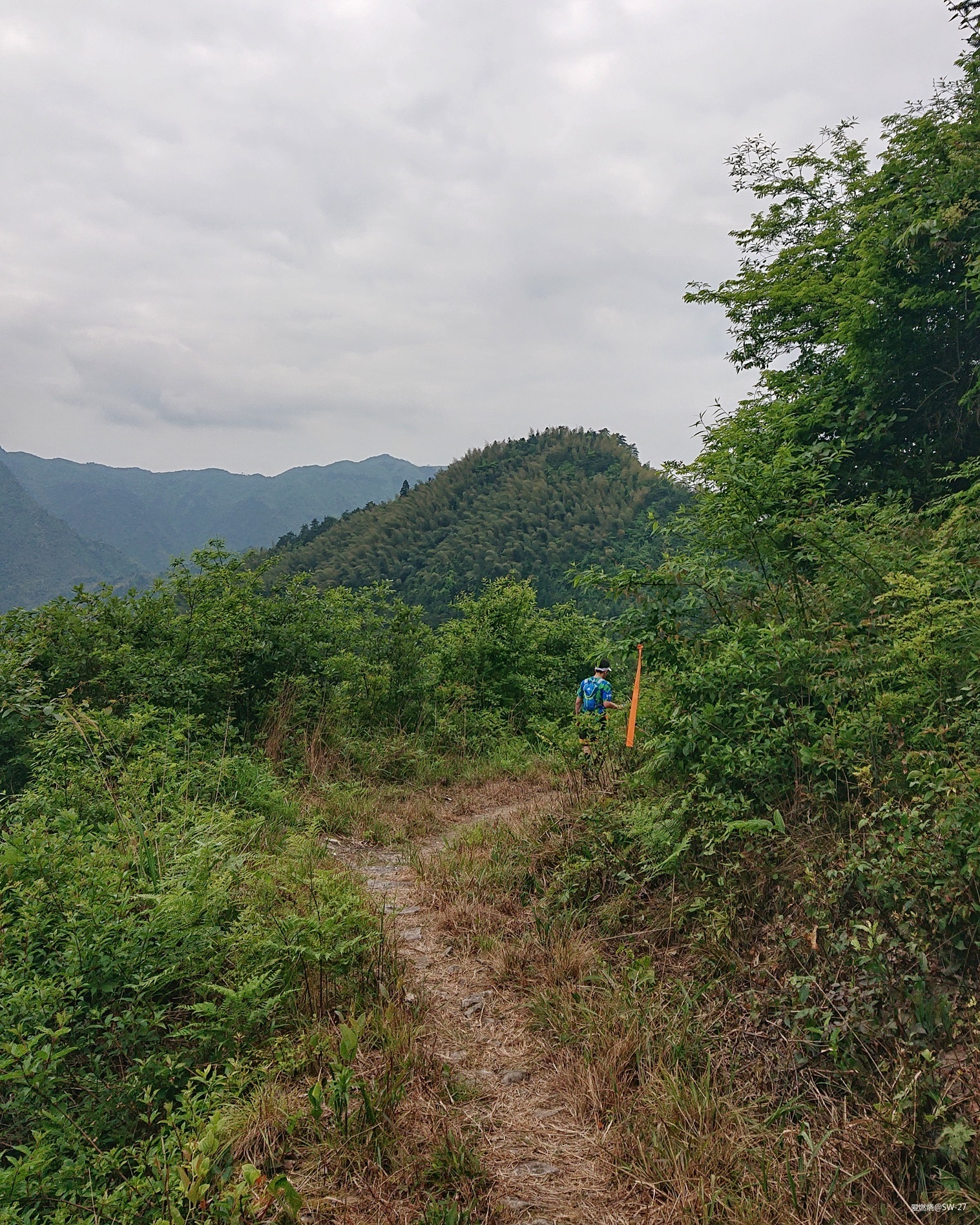 翻山越岭的郊游流水帐——2019 莲都100越野赛-36K 赛记