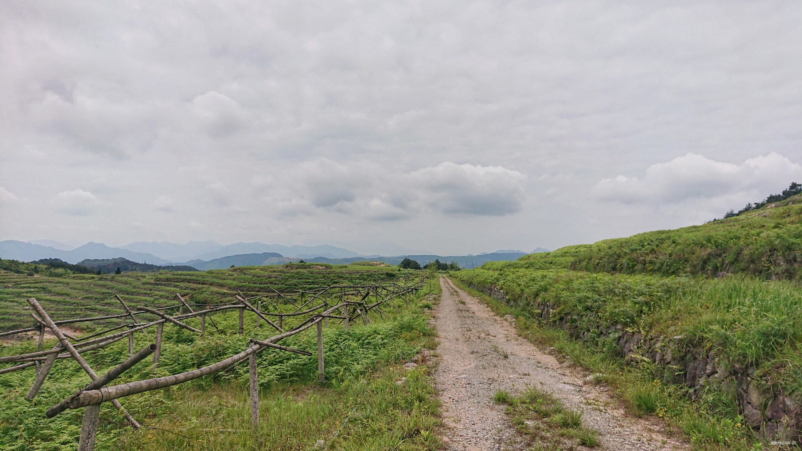 翻山越岭的郊游流水帐——2019 莲都100越野赛-36K 赛记