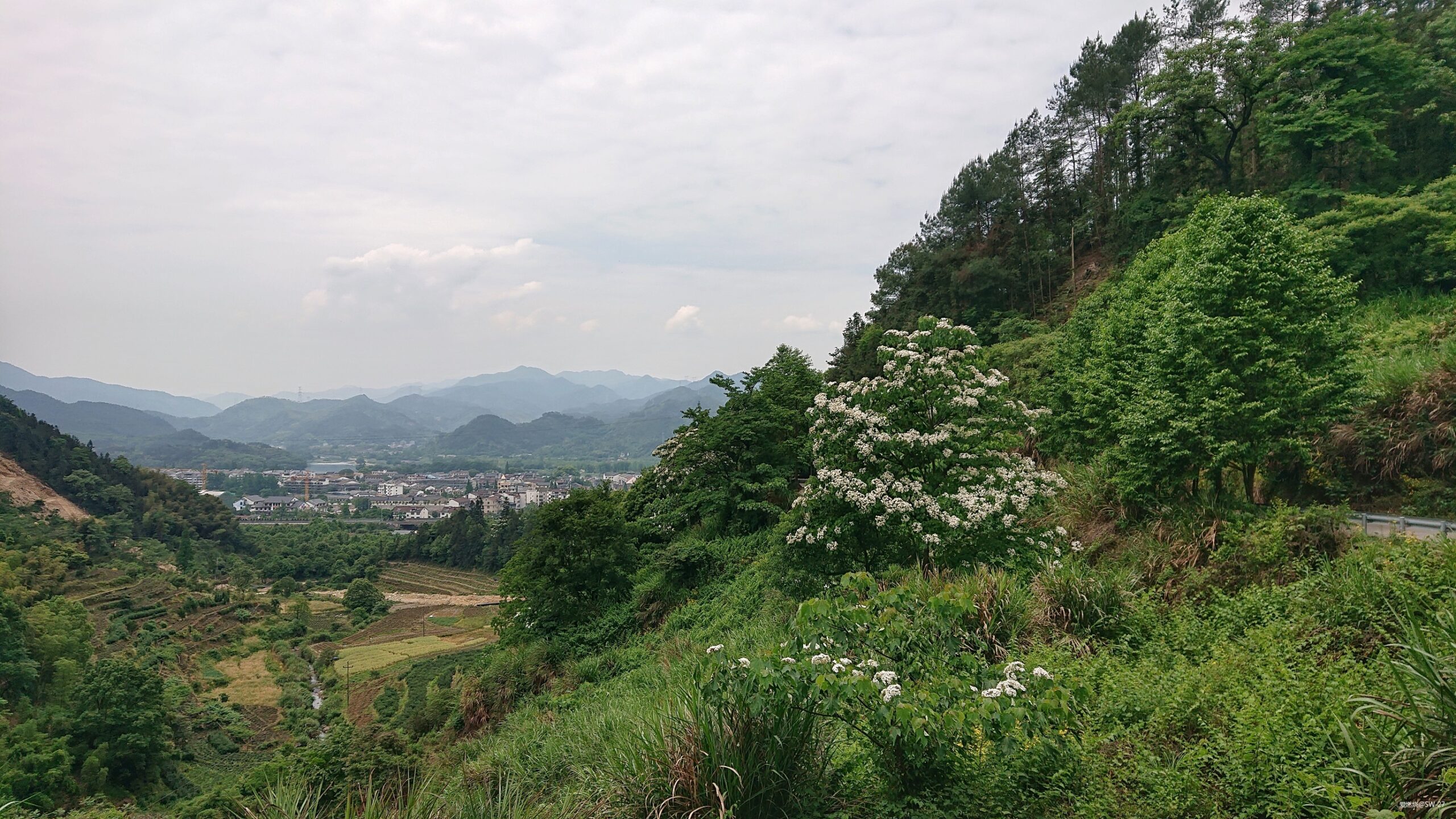 翻山越岭的郊游流水帐——2019 莲都100越野赛-36K 赛记