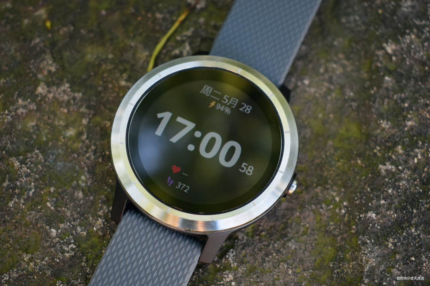 精度与价格兼得||Garmin Vívoactive 3 Trainer