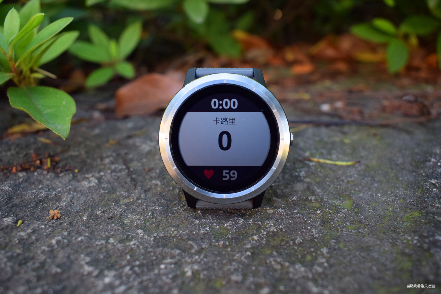 精度与价格兼得||Garmin Vívoactive 3 Trainer