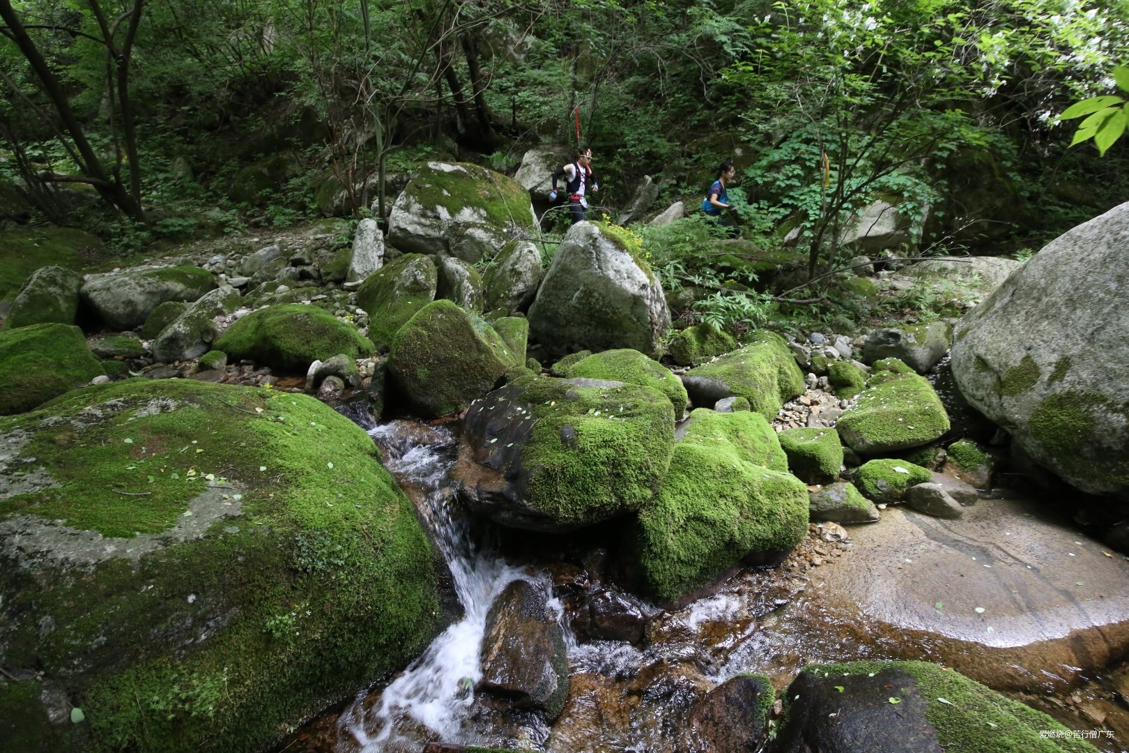 跨过山野，致敬真心英雄——2019TNF100秦岭站速描