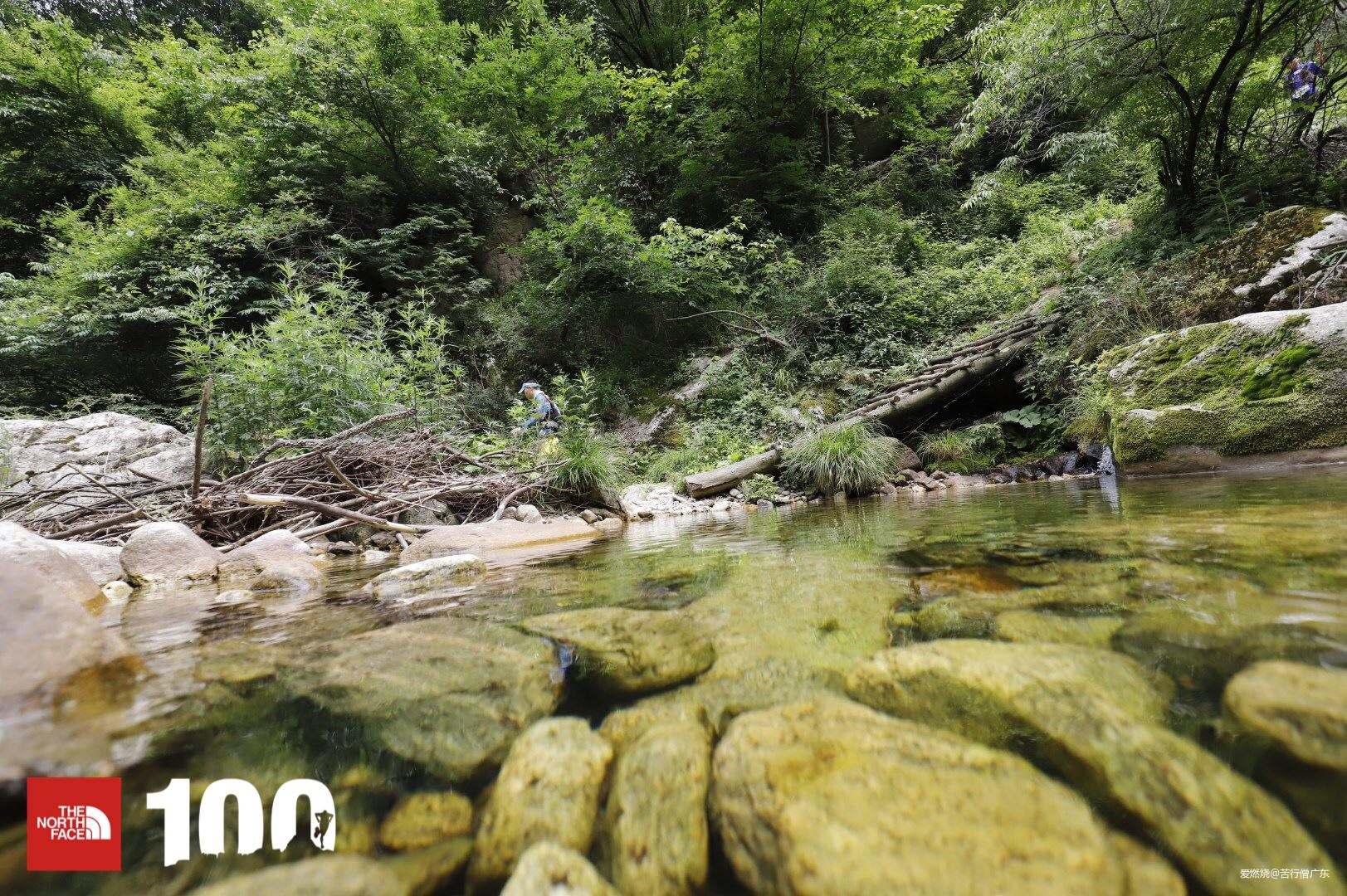 跨过山野，致敬真心英雄——2019TNF100秦岭站速描