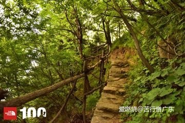 跨过山野，致敬真心英雄——2019TNF100秦岭站速描