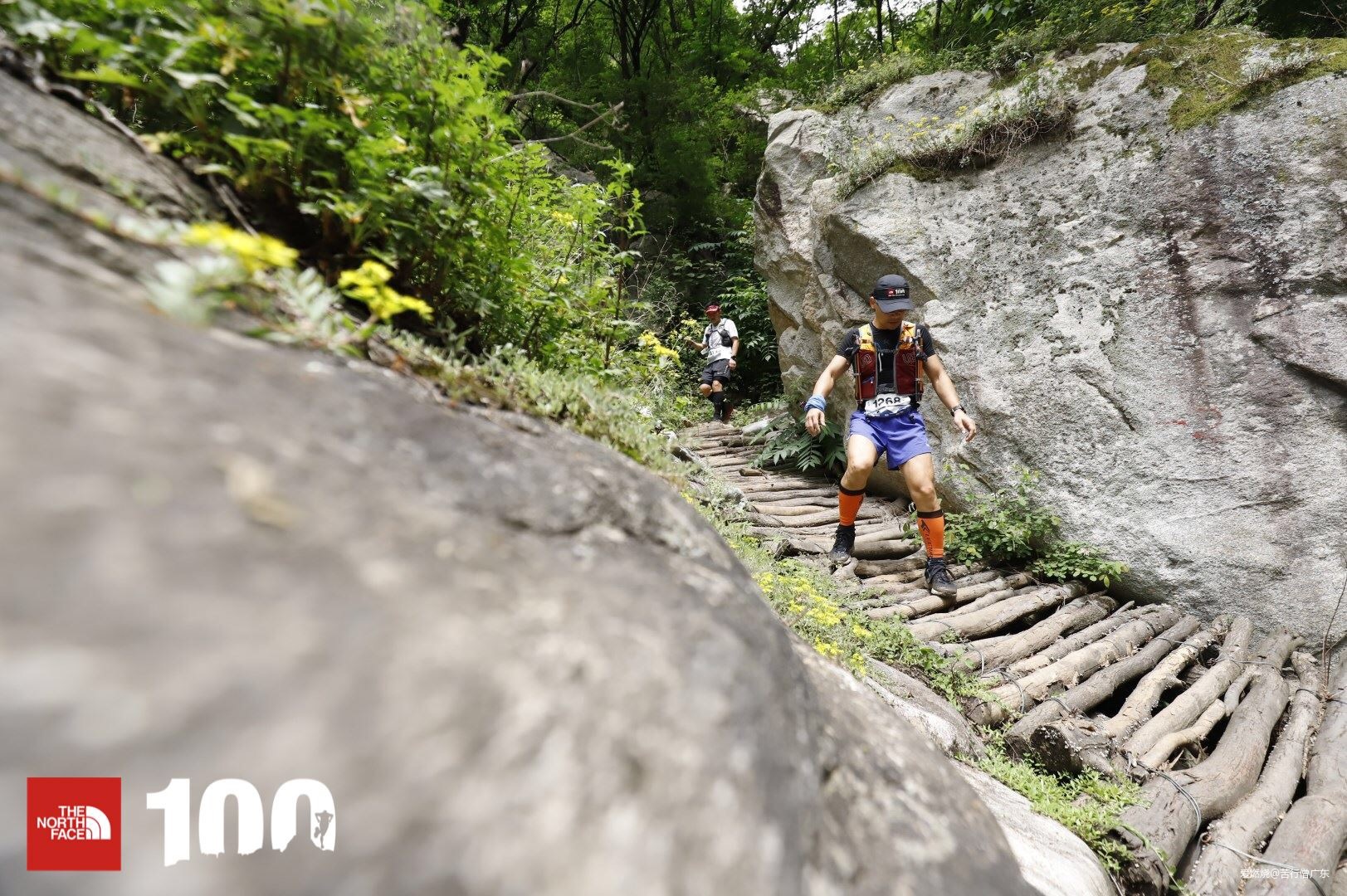 跨过山野，致敬真心英雄——2019TNF100秦岭站速描