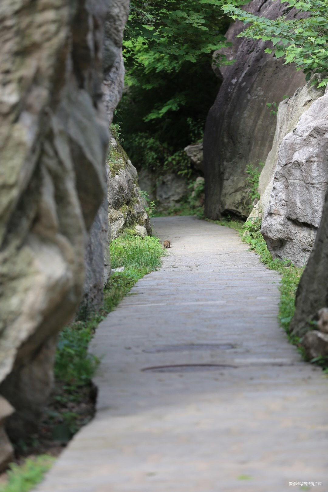 跨过山野，致敬真心英雄——2019TNF100秦岭站速描