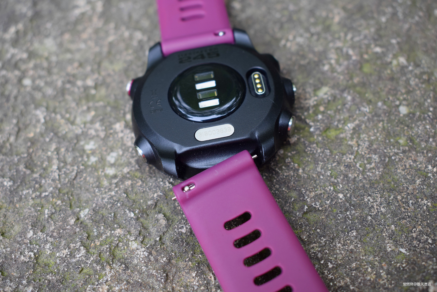 245，Garmin对跑者最大的诚意|Garmin Forerunner 245跑步手表