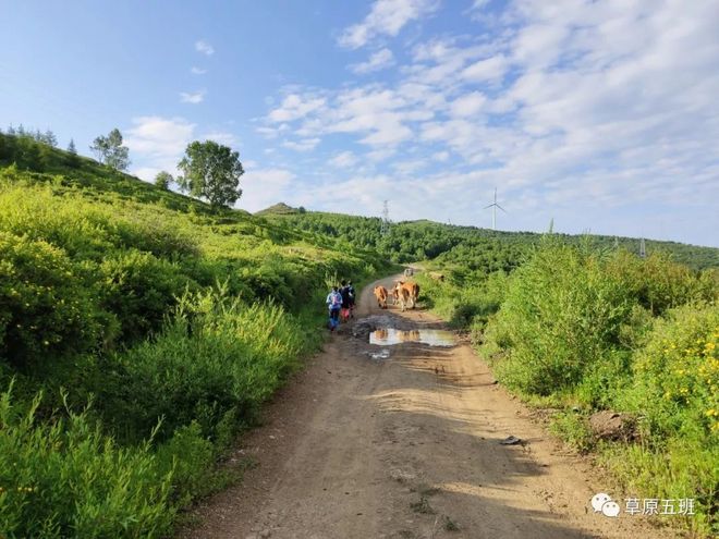​一场生理与心理的挑战—崇礼168越野赛