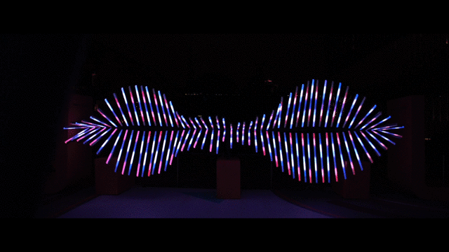 设计师运动服品牌 MAIA ACTIVE与纽约灯光艺术家James Clar共同演绎霓光运动美学