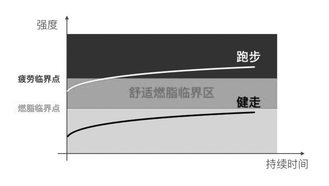 长跑究竟有多长？