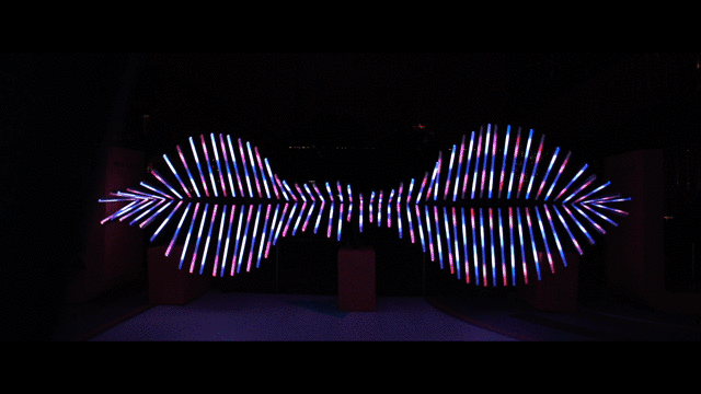 设计师运动服品牌 MAIA ACTIVE与纽约灯光艺术家James Clar共同演绎霓光运动美学