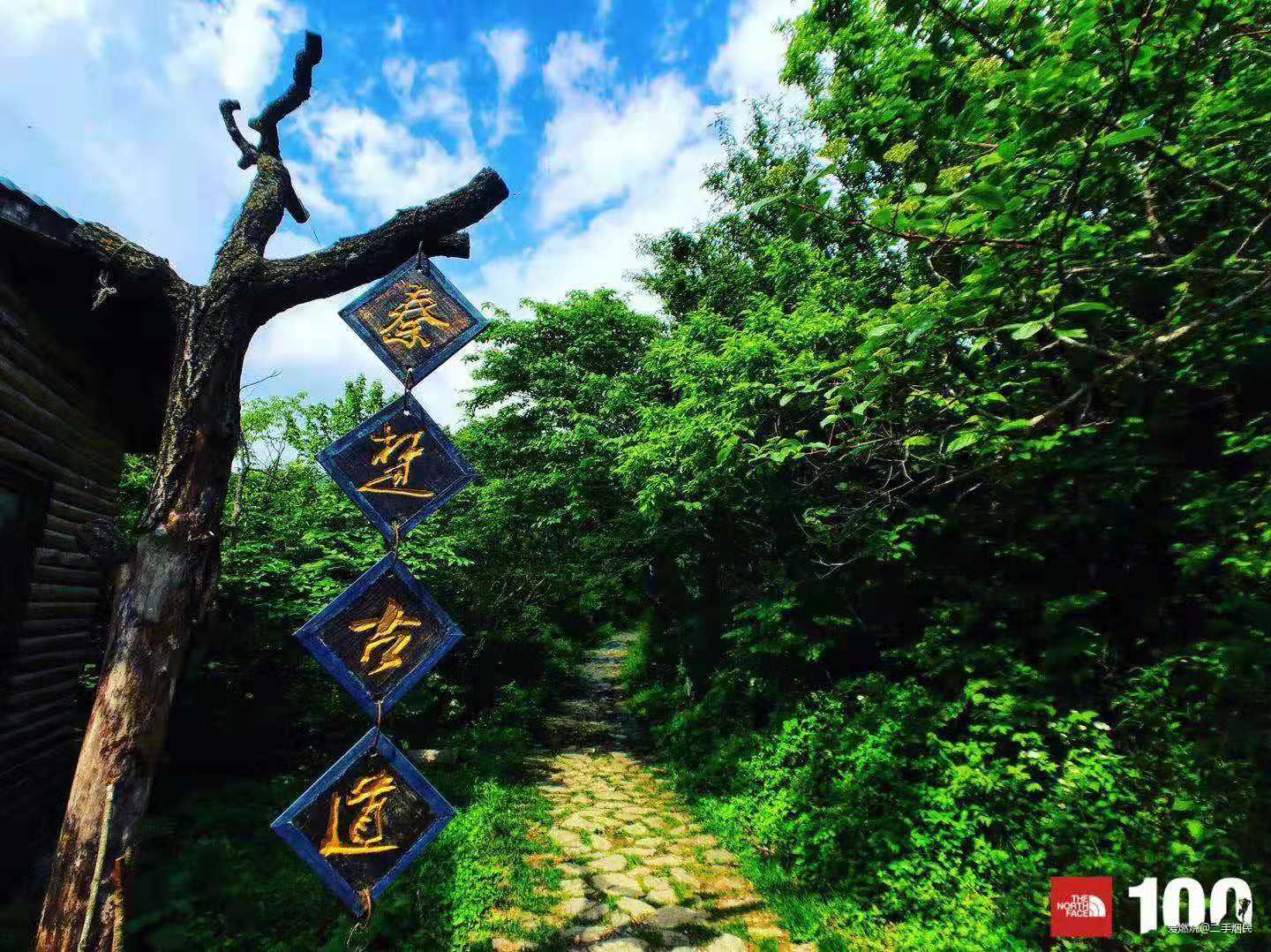 一场纠结于退赛还是不退赛的秦岭TNF