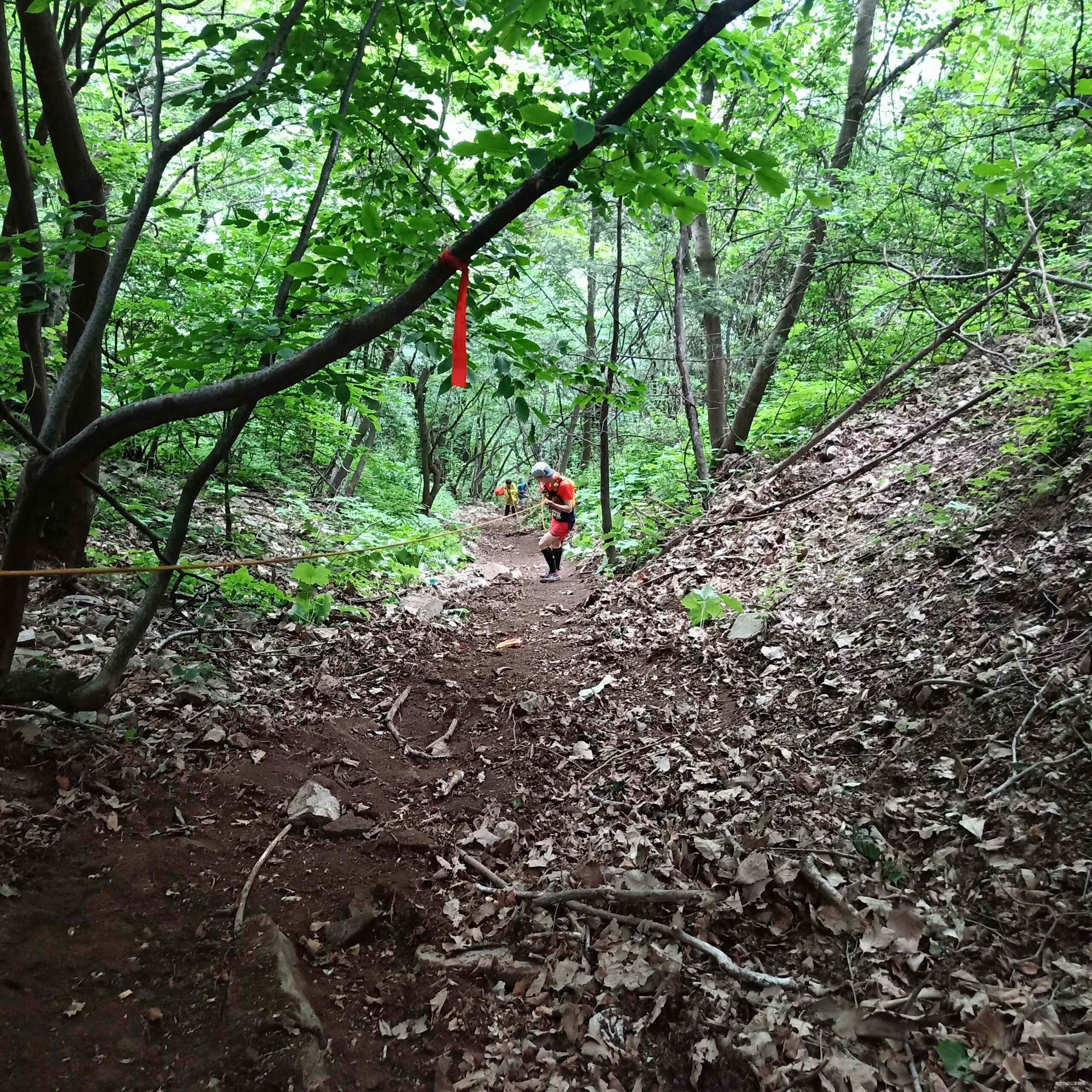 一场纠结于退赛还是不退赛的秦岭TNF