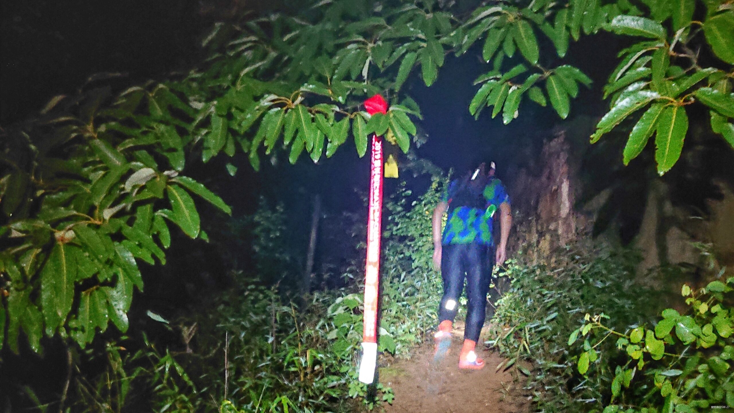 穿过黑暗到黎明，仲夏雨夜姑苏跑山——「锦衣夜行」记
