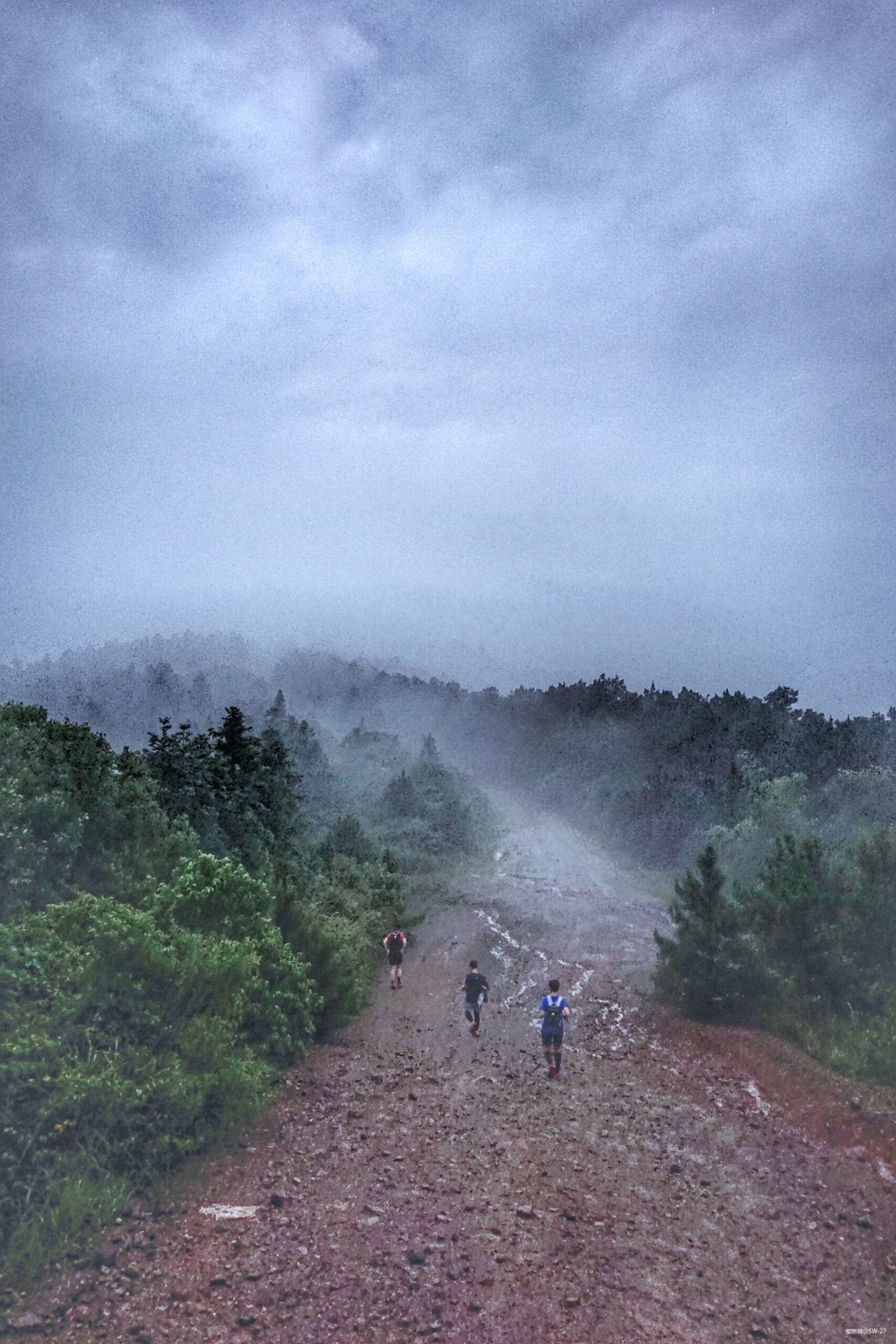 穿过黑暗到黎明，仲夏雨夜姑苏跑山——「锦衣夜行」记