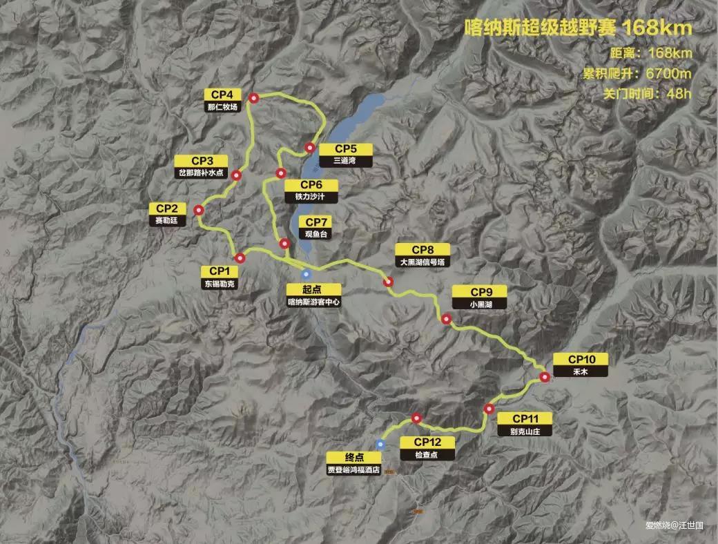 喀纳斯１６８ 在花海中放飞