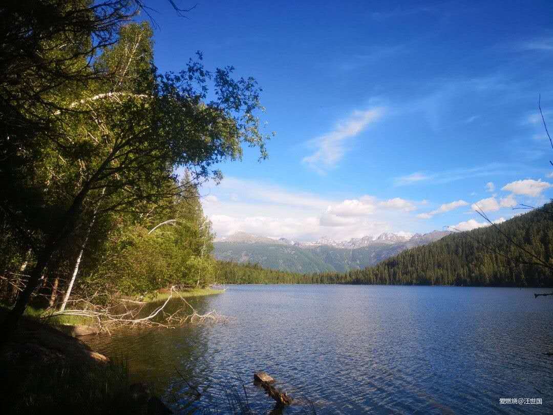 喀纳斯１６８ 在花海中放飞