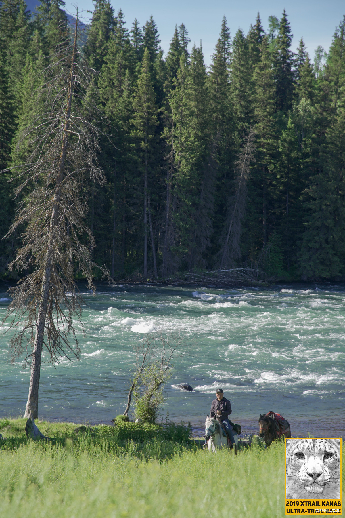 喀纳斯１６８ 在花海中放飞