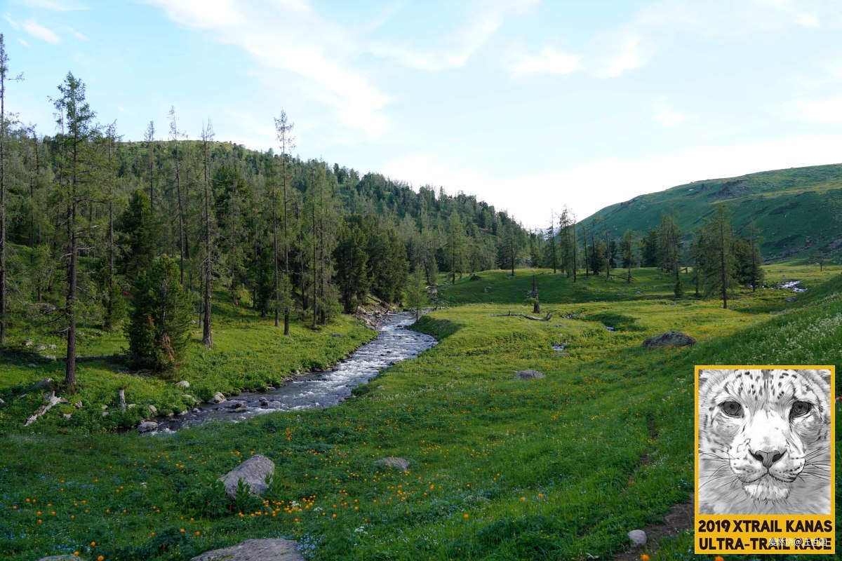 喀纳斯１６８ 在花海中放飞