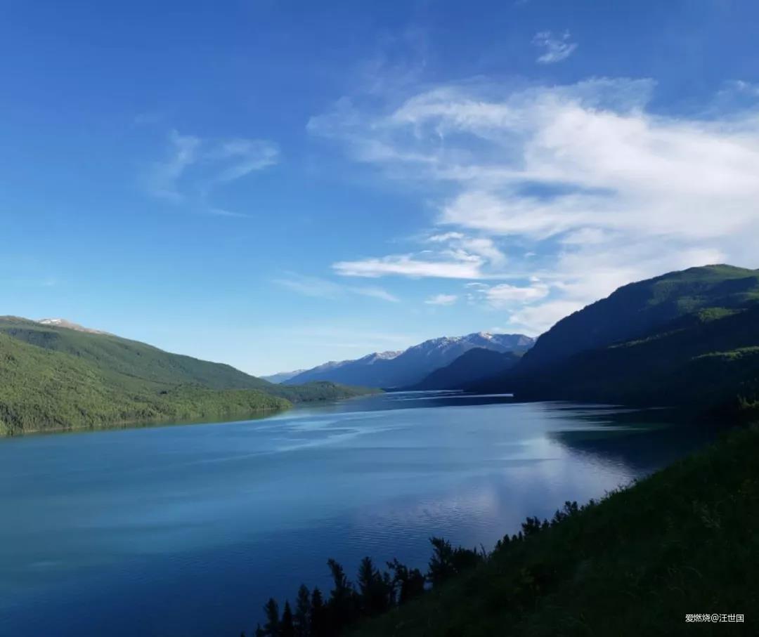 喀纳斯１６８ 在花海中放飞