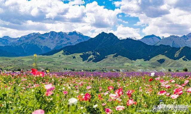 奔跑在希望的原野上——吉木萨尔天山马拉松靠背喀纳斯168